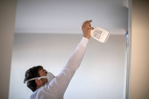 Best Best Mold Removal Companies  in Frankfort, IN