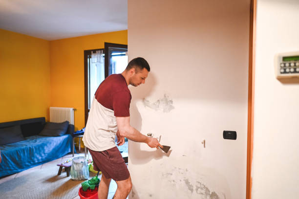 Best Home Mold Removal  in Frankfort, IN